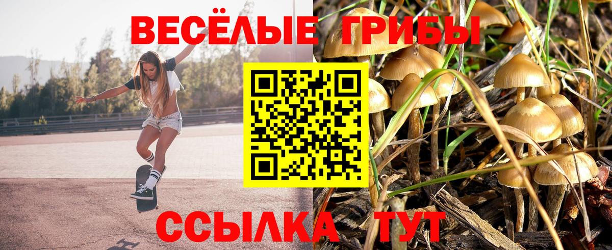 Псилоцибиновые грибы MAGIC MUSHROOMS Кубинка