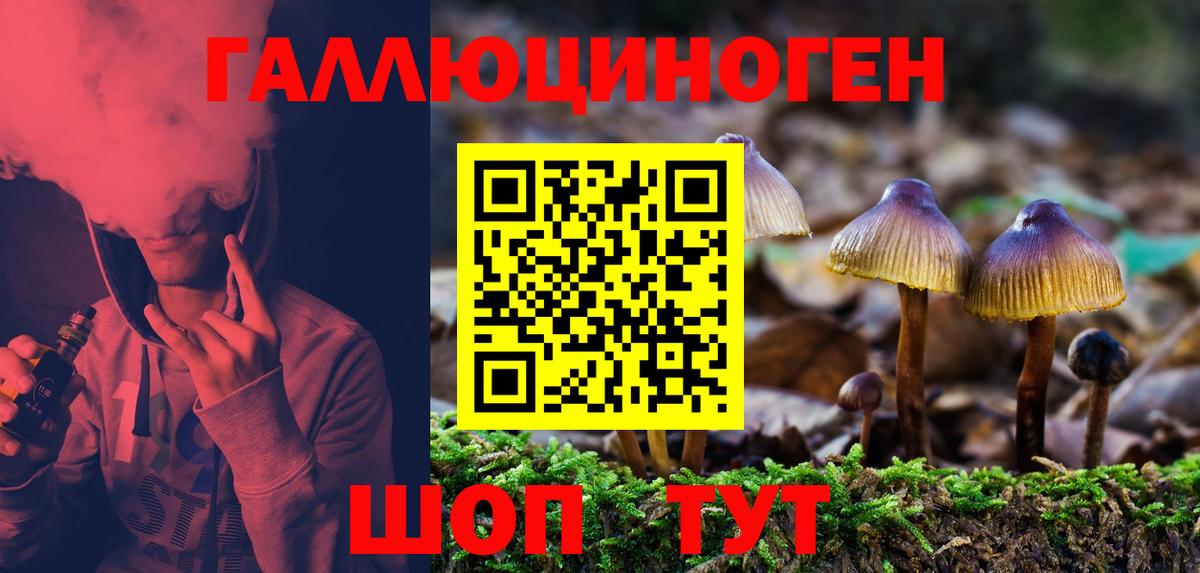 Галлюциногенные грибы прущие грибы  дарнет шоп  Псилоцибиновые грибы мицелий  Кубинка  Вход с VPN 